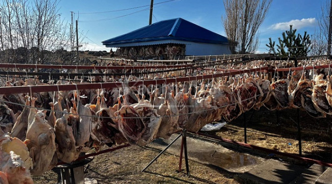 Gurbetteki hemşerileri için yüzlercesini için kurutuyor!
