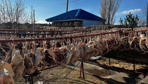 Gurbetteki hemşerileri için yüzlercesini için kurutuyor!