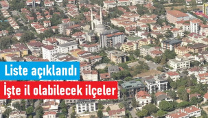 İl olma potansiyeli en yüksek ilçeler açıklandı