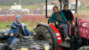 Kentten köye dönen kadınlar, sezonda 500 bin liraya kadar kazanıyor