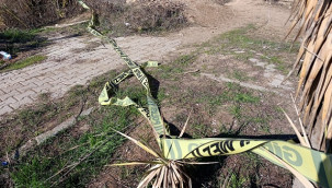 Menekşe Bozkurt'un cesedi yol kenarında bulundu