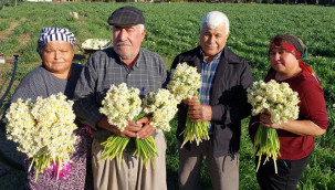 ''Mis gibi rezillik''