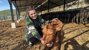 Projeyle başlayan Ayşegül: ''Şimdiden 7 buzağım oldu bile''