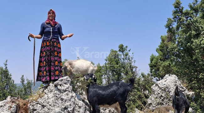 Sarıkeçili Yörüklerin develi 'kış yurdu' yolculuğu sürüyor