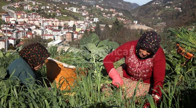 Yayladan stadyuma uzanan tutku!