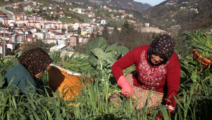 Yayladan stadyuma uzanan tutku!