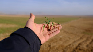 Son yağışlar yüz güldürdü