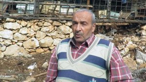 Bölgede mesleğin geçmişi Roma dönemine dayanıyor, ayılar yedi