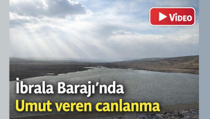 Yeşildere Barajı'nda umut veren canlanma