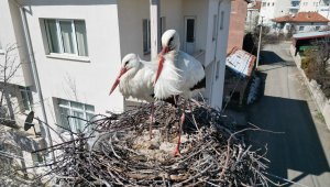 Onlar gelmeden yenisini yerleştirdi