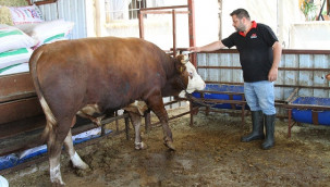 450 bin liraya satışa çıkartıldı