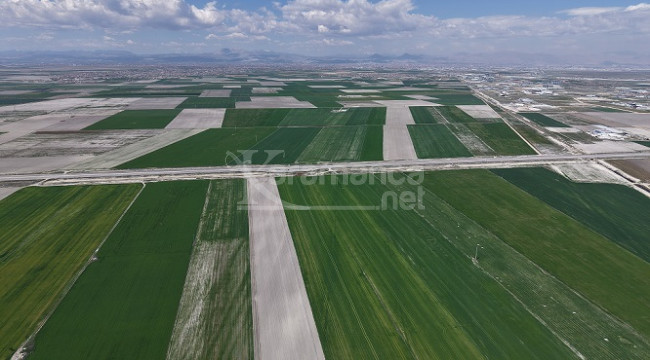 Bölgedeki yağışlarla hububatta 500 bin ton rekolte artışı bekleniyor