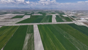 Bölgedeki yağışlarla hububatta 500 bin ton rekolte artışı bekleniyor