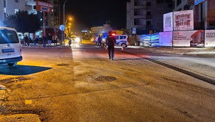 TIR'ın çarptığı Suzan Gök hayatını kaybetti