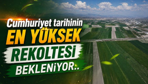 Cumhuriyet tarihinin en yüksek rekoltesi bekleniyor