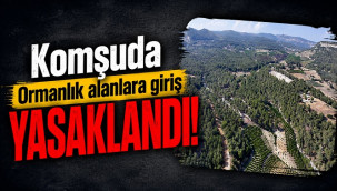 Komşuda ormanlık alanlara giriş yasaklandı