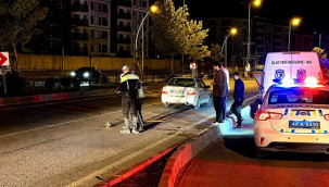 Otomobillerin çarptığı Kaan Koçer öldü