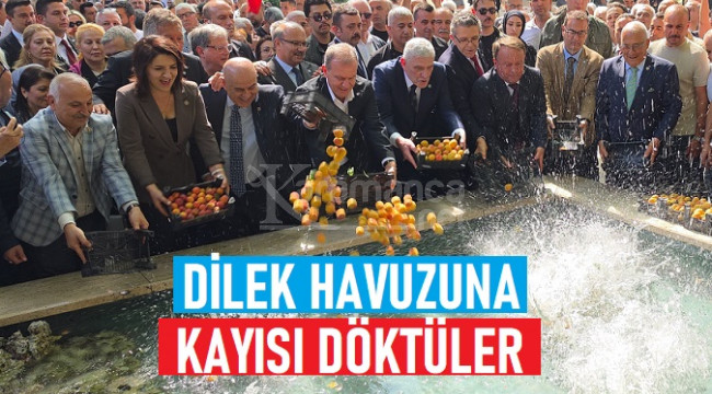 Dervişoğlu, Mut'ta dilek havuzuna kayısı döktü