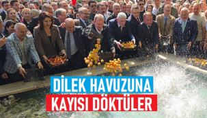 Dervişoğlu, Mut'ta dilek havuzuna kayısı döktü