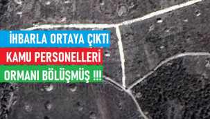 Ormanı bölüşen kamu personeline mahkeme 'Dur' dedi
