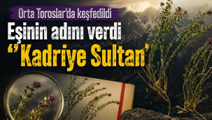 Orta Toroslar'da keşfedilen yeni türe eşinin ismini verdi