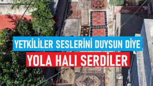 Yetkililer 8 aydır seslerini duymayınca yola halı serdiler