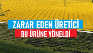 Zarar eden bölge üreticisi, bu ürüne yöneldi