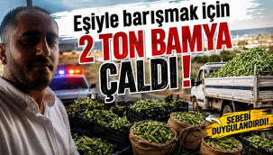 2 ton çiçek bamyasını çalan sanığa 8 yıl hapis cezası