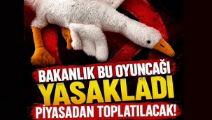 Bakanlığın yasakladığı oyuncak piyasadan toplatılacak