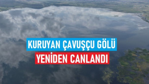 Çavuşçu Gölü yeniden canlandı