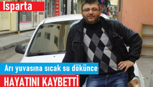 Arıların yuvasına sıcak su döken usta öldü
