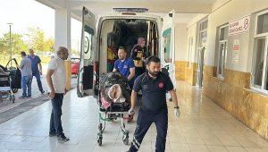 Ayı saldırısına uğrayan çoban yaralandı