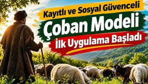 Çobanlar kayıtlı ve sosyal güvenceli oluyor