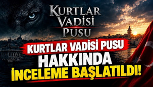 Kurtlar Vadisi Pusu dizisi hakkında inceleme kararı