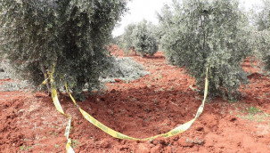 Traktörden düşen Mehmet Ünal hayatını kaybetti