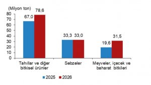 TÜİK: Sebze üretiminde azalış öngörüldü