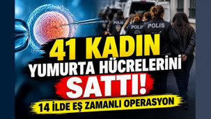 Yumurta hücresi ticareti yapan şebekeye operasyon